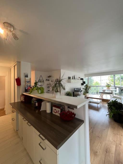Appartement 55 M2 Le Chesnay Le Chesnay  Exterior foto